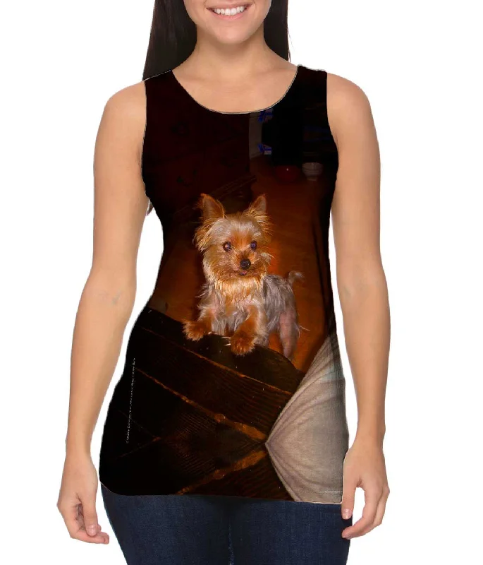 Women's Button - Down Tank Tops in Striped PatternsRambunctious Yorkie